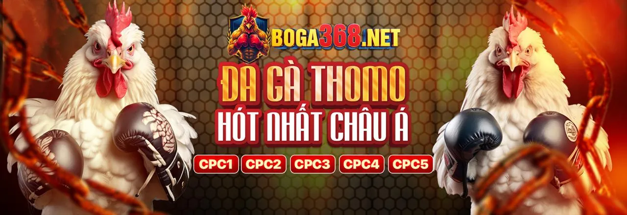 Đá gà trực tuyến kịch tính trên ứng dụng 68wim